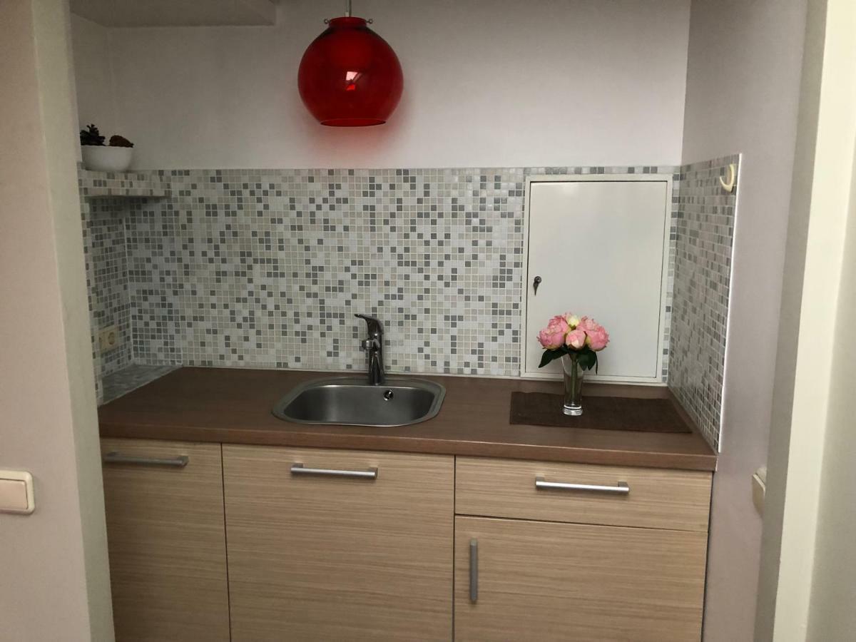 Family Or Group Apartment In Green Center Riga Esterno foto